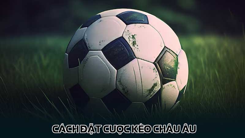Cách đặt cược Kèo Châu Âu