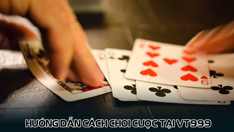 Hướng dẫn cách chơi cược tại vt999