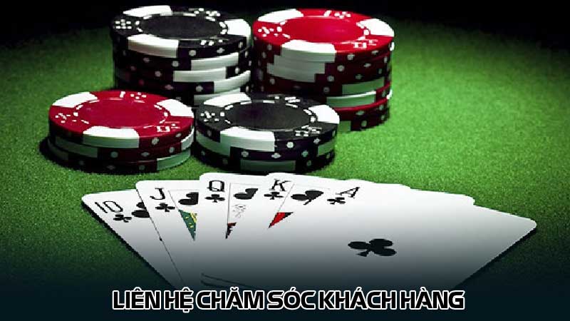 Liên hệ chăm sóc khách hàng