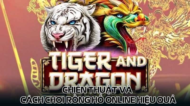Chiến thuật và cách chơi Rồng hổ online hiệu quả