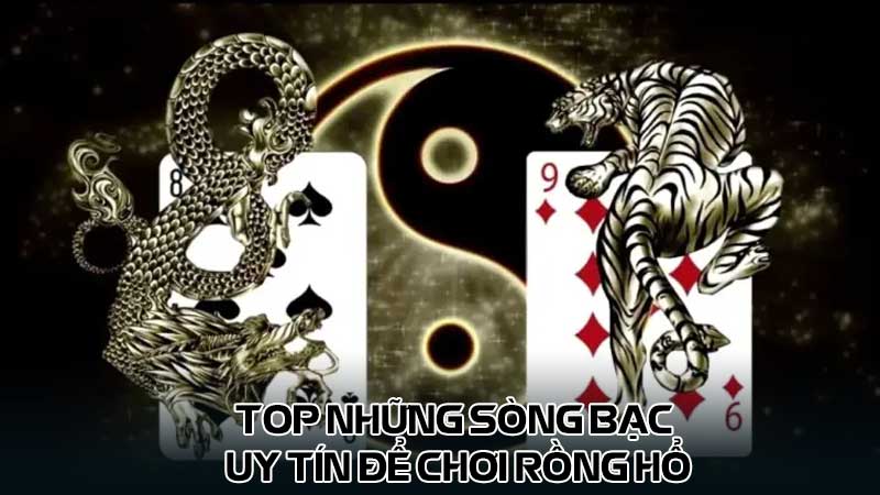 Top những sòng bạc uy tín để chơi Rồng hổ